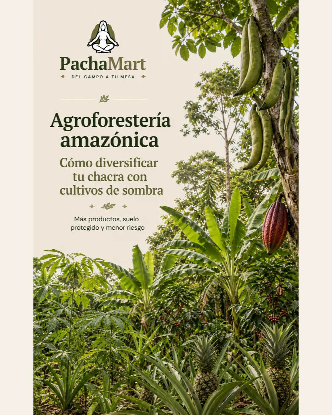 Agroforestería amazónica: cómo diversificar tu chacra con cultivos de sombra