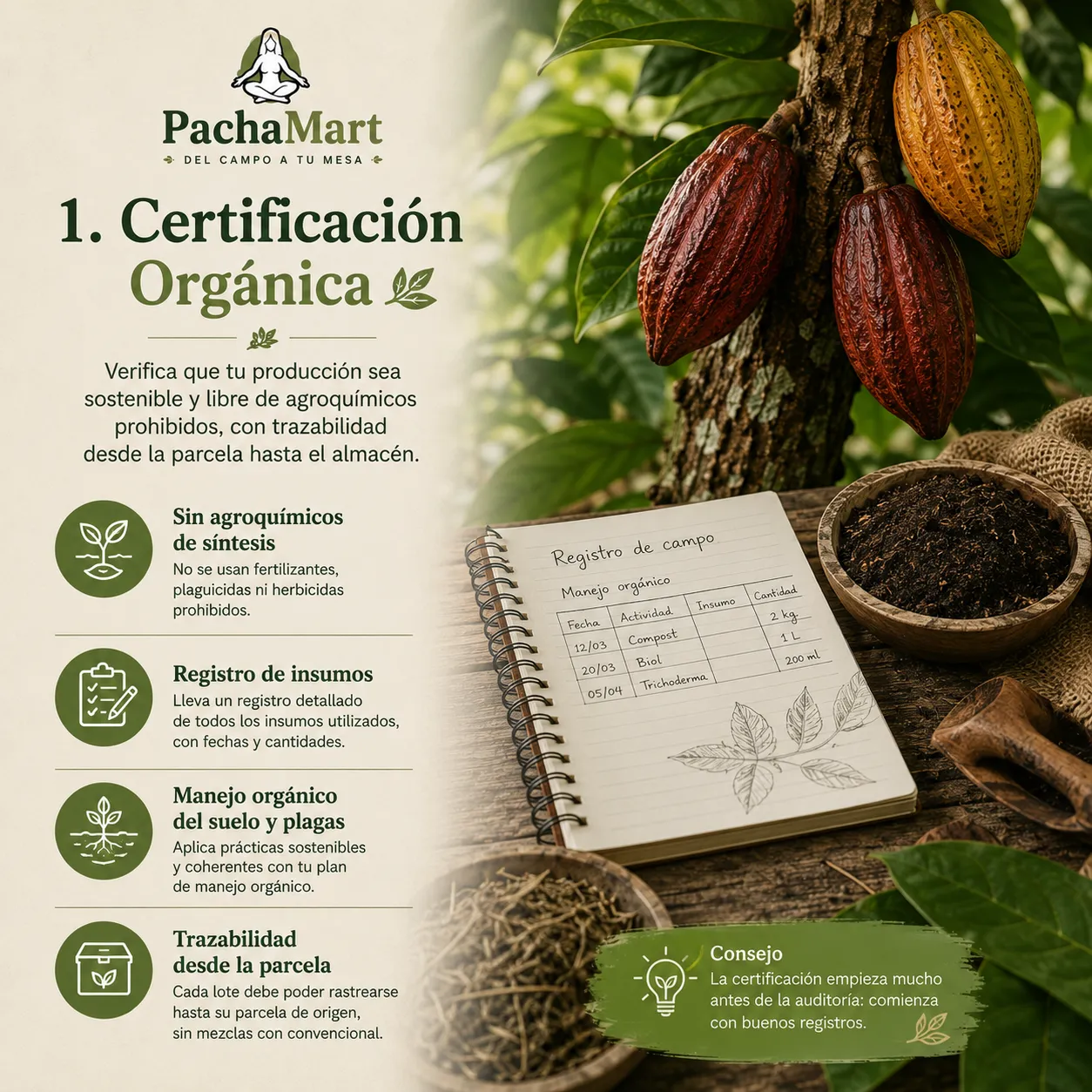 Infografía de certificación orgánica: sin agroquímicos de síntesis, registro de insumos, manejo orgánico del suelo y plagas, y trazabilidad desde la parcela
