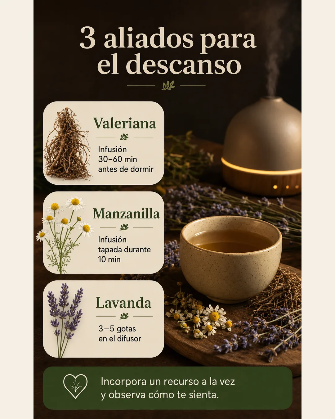 Valeriana, manzanilla y lavanda presentadas con indicaciones breves de uso antes de dormir