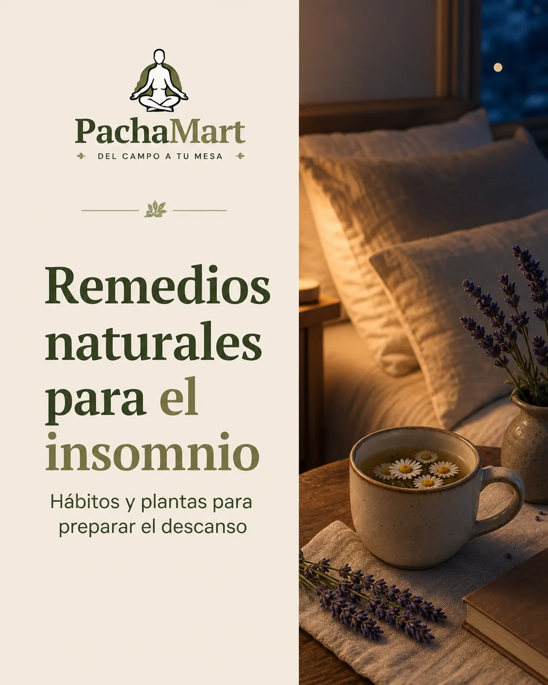 Remedios Naturales para el Insomnio: Recupera tu Sueño Reparador