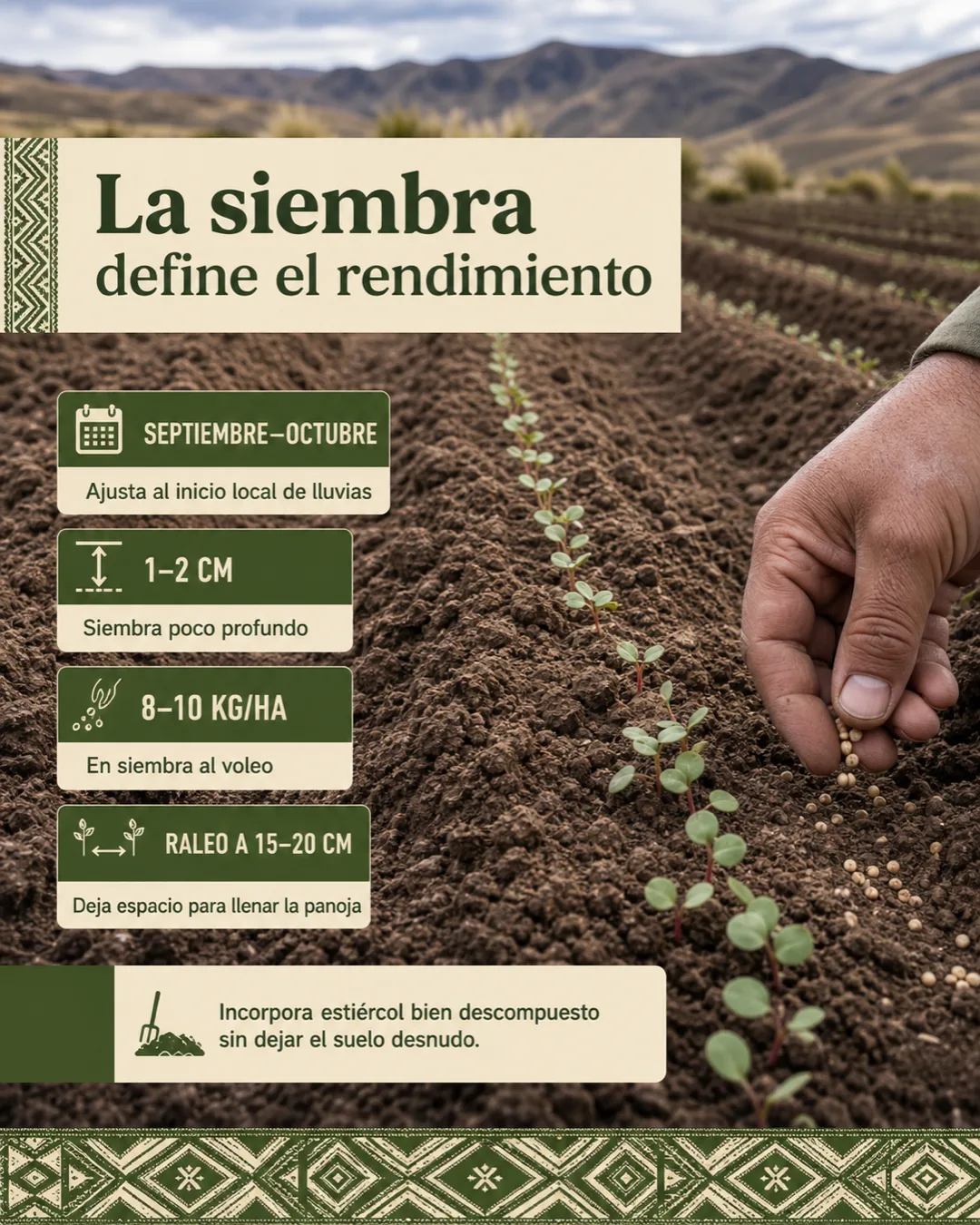 Época, profundidad, densidad y raleo recomendados para sembrar quinua en el altiplano andino