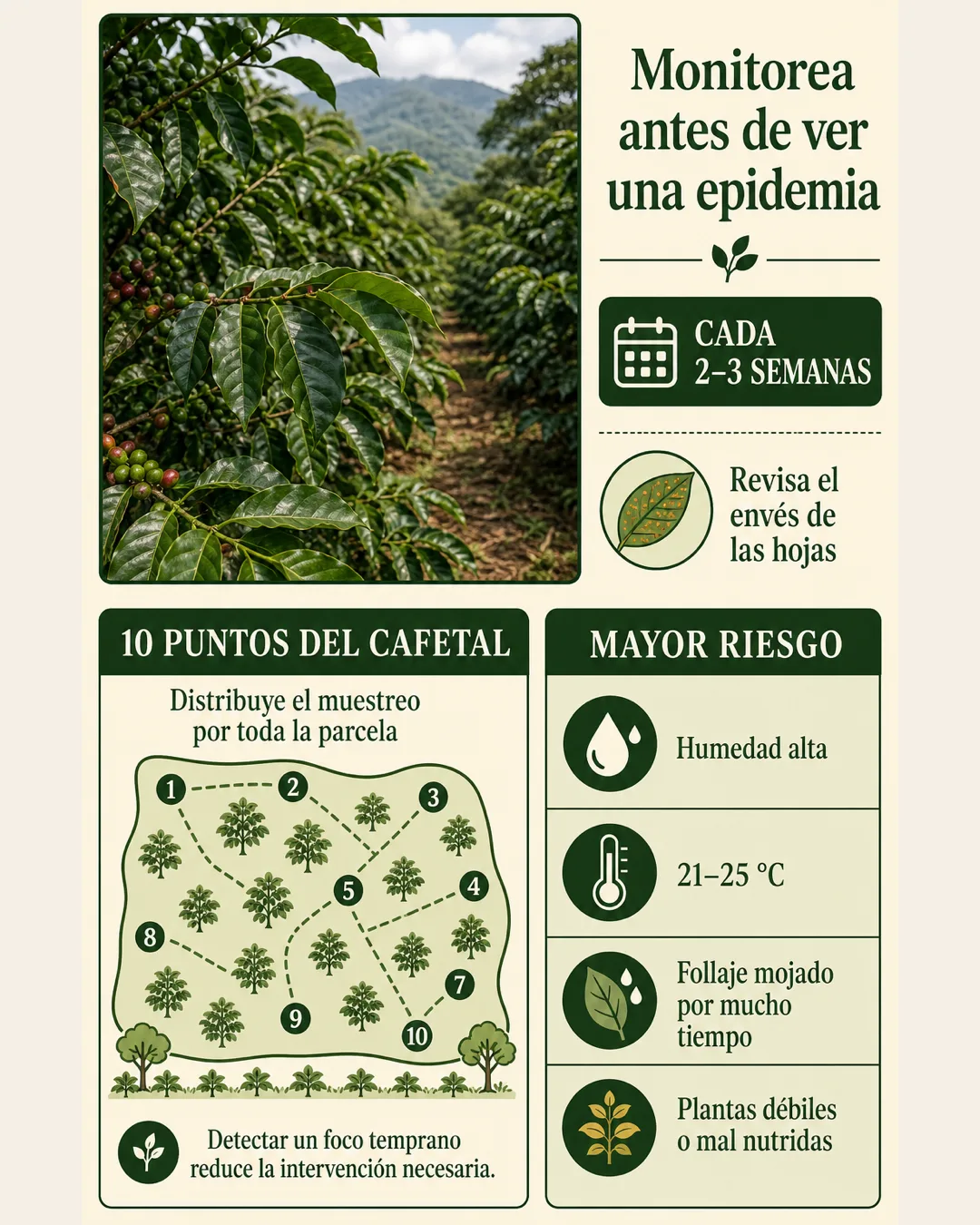 Monitoreo de roya cada 2 a 3 semanas en 10 puntos del cafetal y principales factores de riesgo: humedad, temperatura, follaje mojado y plantas débiles